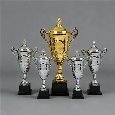 Gran tassa de trofeu de plata